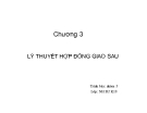 Thuyết trình: Lý thuyết hợp đồng giao sau