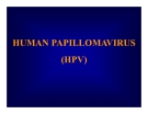 Bài giảng Human papillomavirus (HPV)