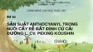 Tiểu luận Công nghệ sinh học thực vật: Sản suất Anthocyanyl trong nuôi cấy rễ bất định củ cải đường L. CV. Peking Koushin