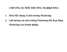 Bài giảng Chương II: Môi trường marketing