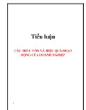 Tiểu luận: Cấu trúc vốn và hiệu quả hoạt động của doanh nghiệp