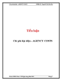 Tiểu luận: Chi phí đại diện - AGENCY COSTS