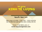 Bài giảng Kinh tế lượng: Giới thiệu môn học - Nguyễn Ngọc Lam