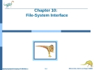 Bài giảng Hệ điều hành nâng cao - Chapter 10: File - System Interface