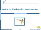 Bài giảng Hệ điều hành nâng cao - Chapter 16: Distributed System Structures