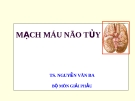 Bài giảng Mạch máu não tủy - TS. Nguyễn Văn Ba