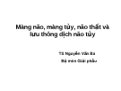 Bài giảng Màng não, màng tủy, não thất và lưu thông dịch não tủy - TS. Nguyễn Văn Ba