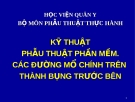 Bài giảng Kỹ thuật phẫu thuật phần mềm: Các đường mổ chính trên thành bụng trước bên - Học viện Quân y