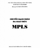 Lý thuyết cơ bản về Chuyển mạch nhãn đa giao thức MPLS: Phần 2