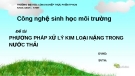 Đề tài: Phương pháp xử lý kim loại nặng trong nước thải - ĐH CNTP TP. HCM