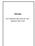 Tiểu luận: Quy chế dân chủ làng xã, quy chế dân chủ cơ sở