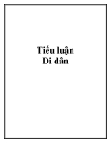 Tiểu luận: Di dân