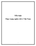 Tiểu luận: Thực trạng nghèo đói ở Việt Nam