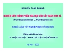 Đề tài: Nghiên cứu thành phần hóa học của cây Bạch hoa xà - Nguyễn Tuấn Quang