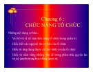 Bài giảng Quản trị học đại cương - Chương 6: Chức năng tổ chức