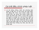 Bài giảng Lý luận pháp luật - Cơ chế điều chỉnh pháp luật