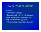 Bài giảng Đại cương glycosid