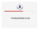 Bài giảng Pháp luật đại cương - Chương 6: Vi phạm pháp luật