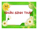 Thuyết trình: Nhãn sinh thái