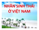 Thuyết trình: Nhãn sinh thái ở Việt Nam