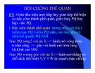 Bài giảng Hội chứng phế quản