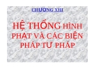 Bài giảng Luật Hình sự Việt Nam: Chương XIII - ThS. Trần Đức Thìn