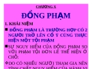 Bài giảng Luật Hình sự Việt Nam: Chương X (tt) - ThS. Trần Đức Thìn