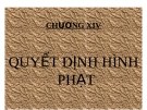 Bài giảng Luật Hình sự Việt Nam: Chương XIV - ThS. Trần Đức Thìn