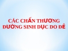 Bài giảng Chấn thương đường sinh dục sau đẻ