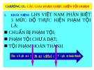 Bài giảng Luật Hình sự Việt Nam: Chương IX - ThS. Trần Đức Thìn