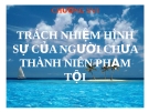 Bài giảng Luật Hình sự Việt Nam: Chương XVI - ThS. Trần Đức Thìn