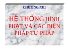 Bài giảng Luật Hình sự Việt Nam: Chương XIII (tt)