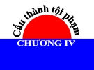 Bài giảng Luật Hình sự Việt Nam: Chương 4 - ThS. Trần Đức Thìn