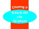 Bài giảng Luật Hình sự Việt Nam: Chương 5 - ThS. Trần Đức Thìn