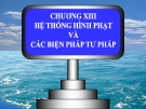 Bài giảng Luật Hình sự Việt Nam: Chương 13 - ThS. Trần Đức Thìn