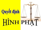 Bài giảng Luật Hình sự Việt Nam: Chương 14 - ThS. Trần Đức Thìn