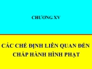 Bài giảng Luật Hình sự Việt Nam: Chương 15 - ThS. Trần Đức Thìn