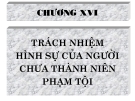 Bài giảng Luật Hình sự Việt Nam: Chương 16 - ThS. Trần Đức Thìn