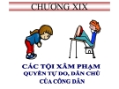 Bài giảng Luật Hình sự Việt Nam: Chương 19 - ThS. Trần Đức Thìn