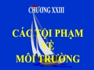 Bài giảng Luật Hình sự Việt Nam: Chương 23 - ThS. Trần Đức Thìn