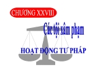 Bài giảng Luật Hình sự Việt Nam: Chương 28 - ThS. Trần Đức Thìn