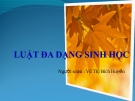 Bài giảng Luật đa dạng sinh học - Vũ Thị Bích Huyền