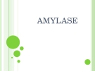 Bài giảng Enzyme Amylase