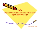 Bài giảng Đại cương virus và các virus gây bệnh thường gặp - GV. Lại Tiến Thành