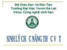 Đề tài: Vai trò của sucrose và sự khác nhau của cytokinin trong ống nghiệm đối với sự phát sinh hình dạng của hoa hồng (hybrid trà) cv