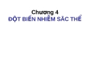 Bài giảng Chương 4: Đột biến nhiễm sắc thể