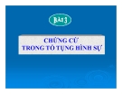 Bài giảng Tố tụng hình sự - Bài 3: Chứng cứ trong tố tụng hình sự