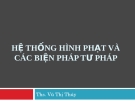 Bài giảng Luật Hình sự: Bài 13 -  ThS. Vũ Thị Thúy