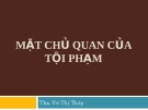 Bài giảng Luật Hình sự: Bài 8 -  ThS. Vũ Thị Thúy