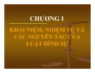 Bài giảng Luật hình sự - Bài 1: Khái niệm, nhiệm vụ và các nguyên tắc của luật hình sự